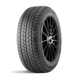 Doublestar Winterking DW09 225/45R18 95T